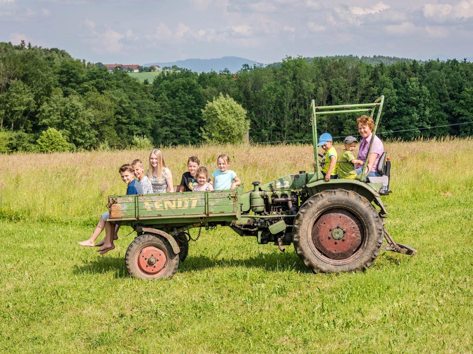 Taching am SeePanoramahof Stief别墅 外观 照片